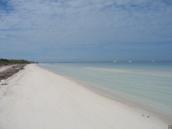 img00079.jpg