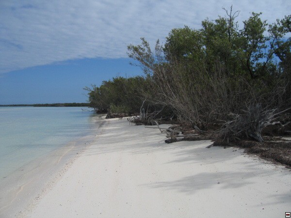 img00082.jpg