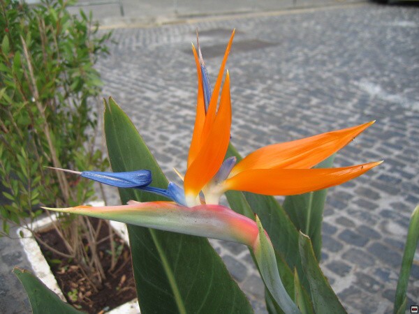 img00001.jpg