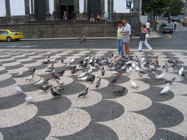 img00010.jpg