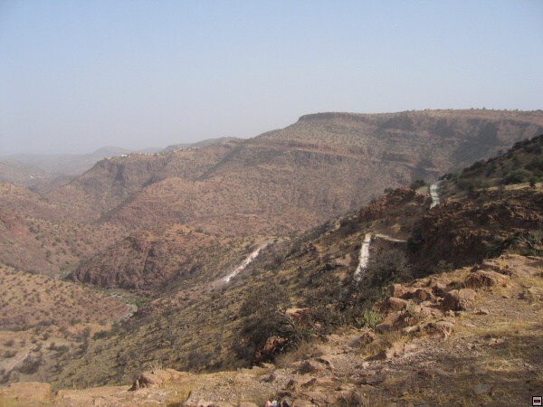 img00007.jpg