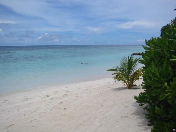 img00002.jpg