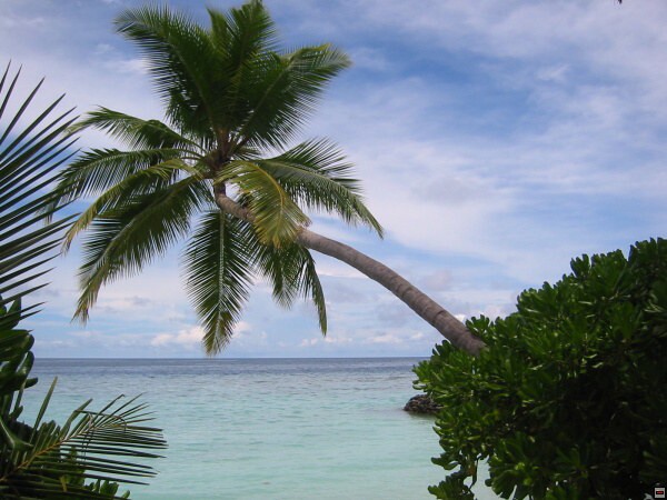 img00004.jpg