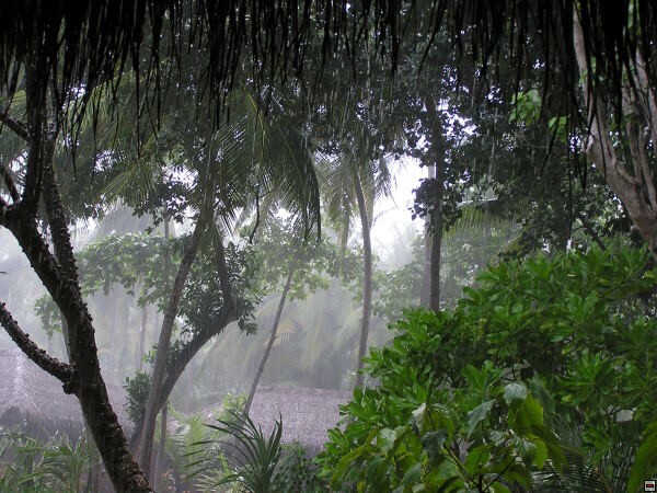 img00007.jpg