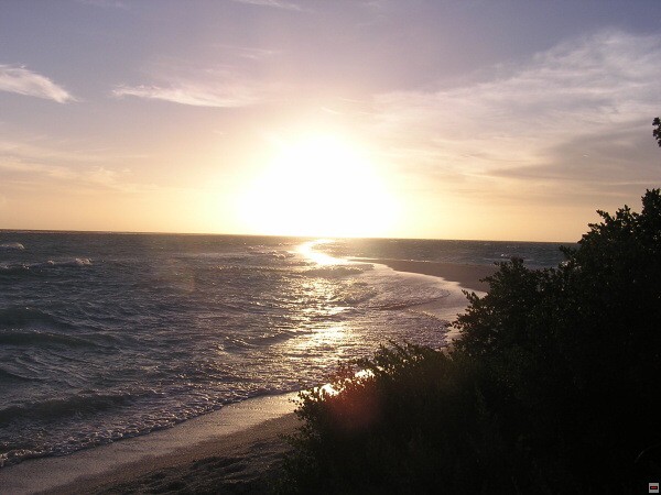 img00009.jpg