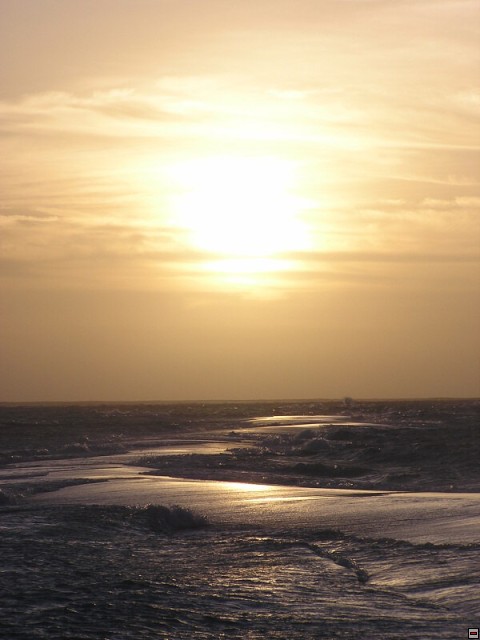 img00010.jpg
