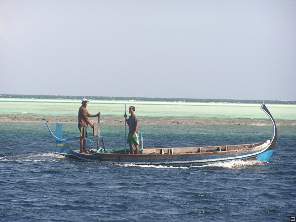 img00011.jpg
