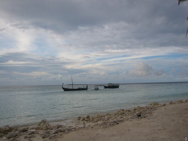 img00014.jpg