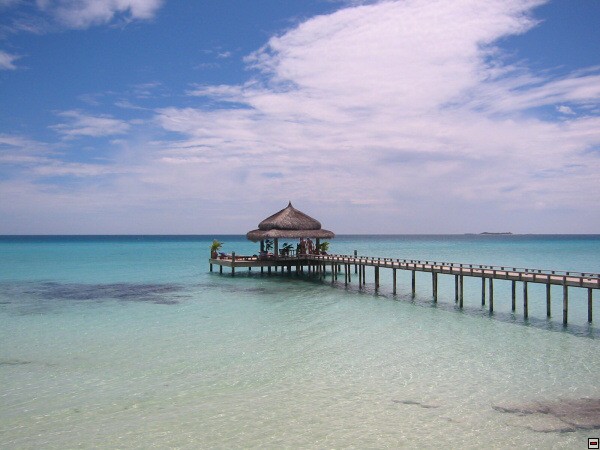 img00019.jpg