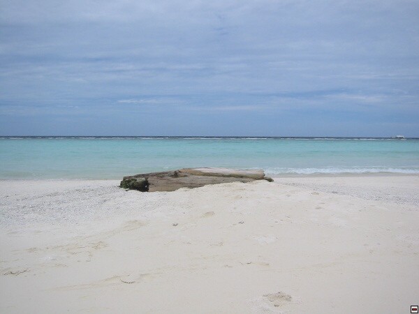 img00020.jpg