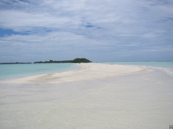 img00021.jpg