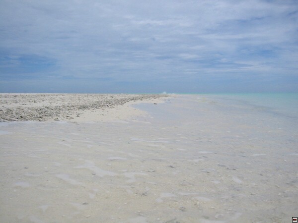 img00022.jpg