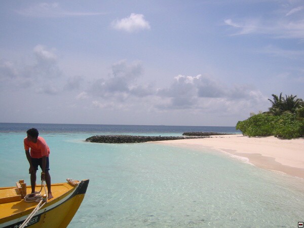 img00026.jpg
