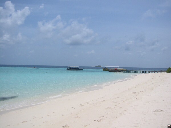 img00027.jpg