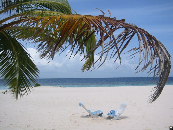 img00028.jpg