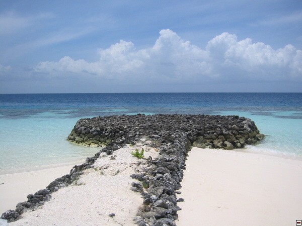 img00029.jpg