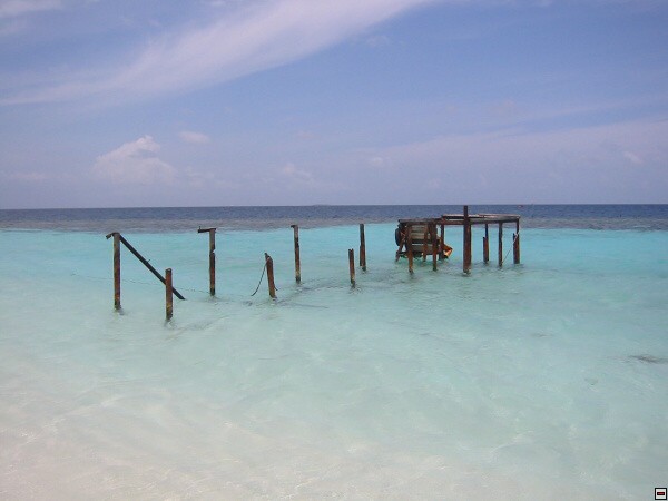 img00032.jpg