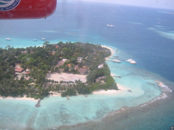 img00036.jpg
