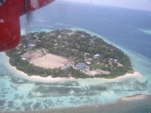 img00037.jpg
