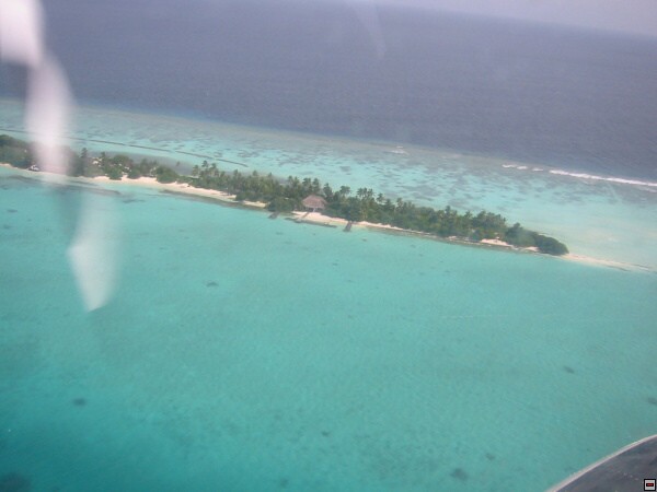 img00041.jpg
