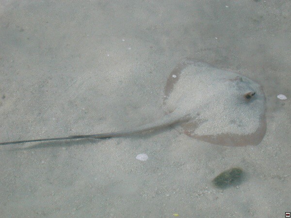 img00047.jpg
