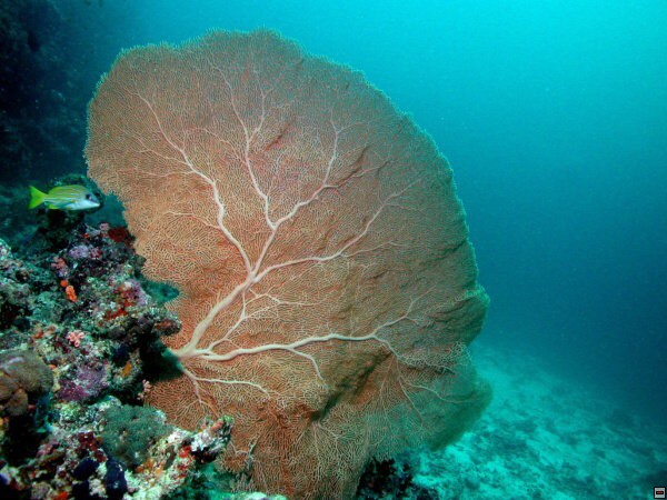 img00054.jpg