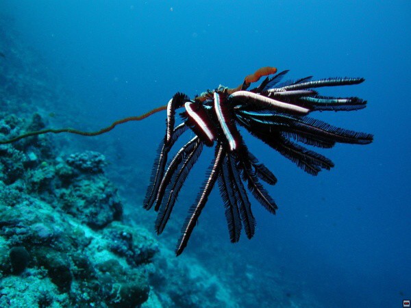 img00068.jpg