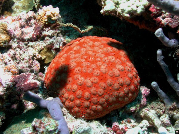 img00075.jpg
