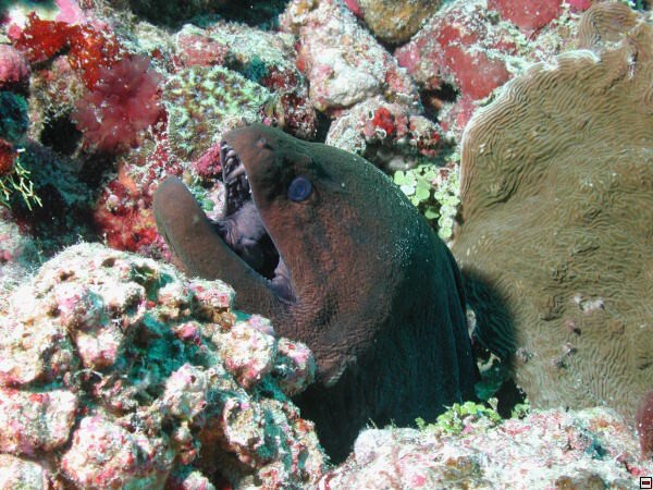 img00078.jpg