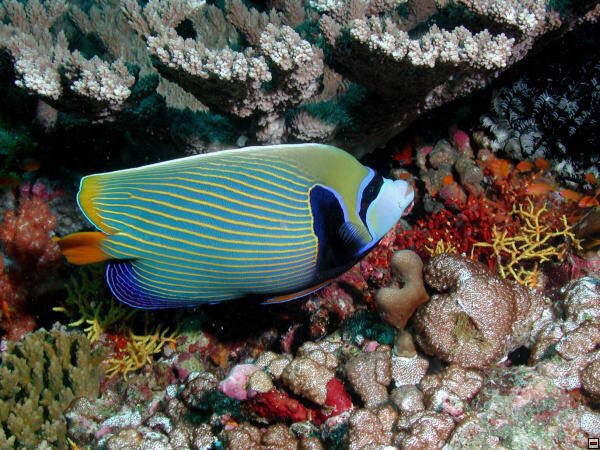 img00104.jpg