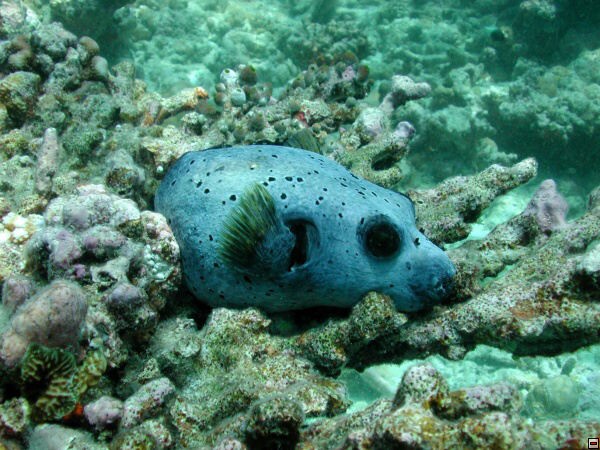 img00107.jpg