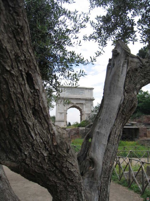 img00013.jpg